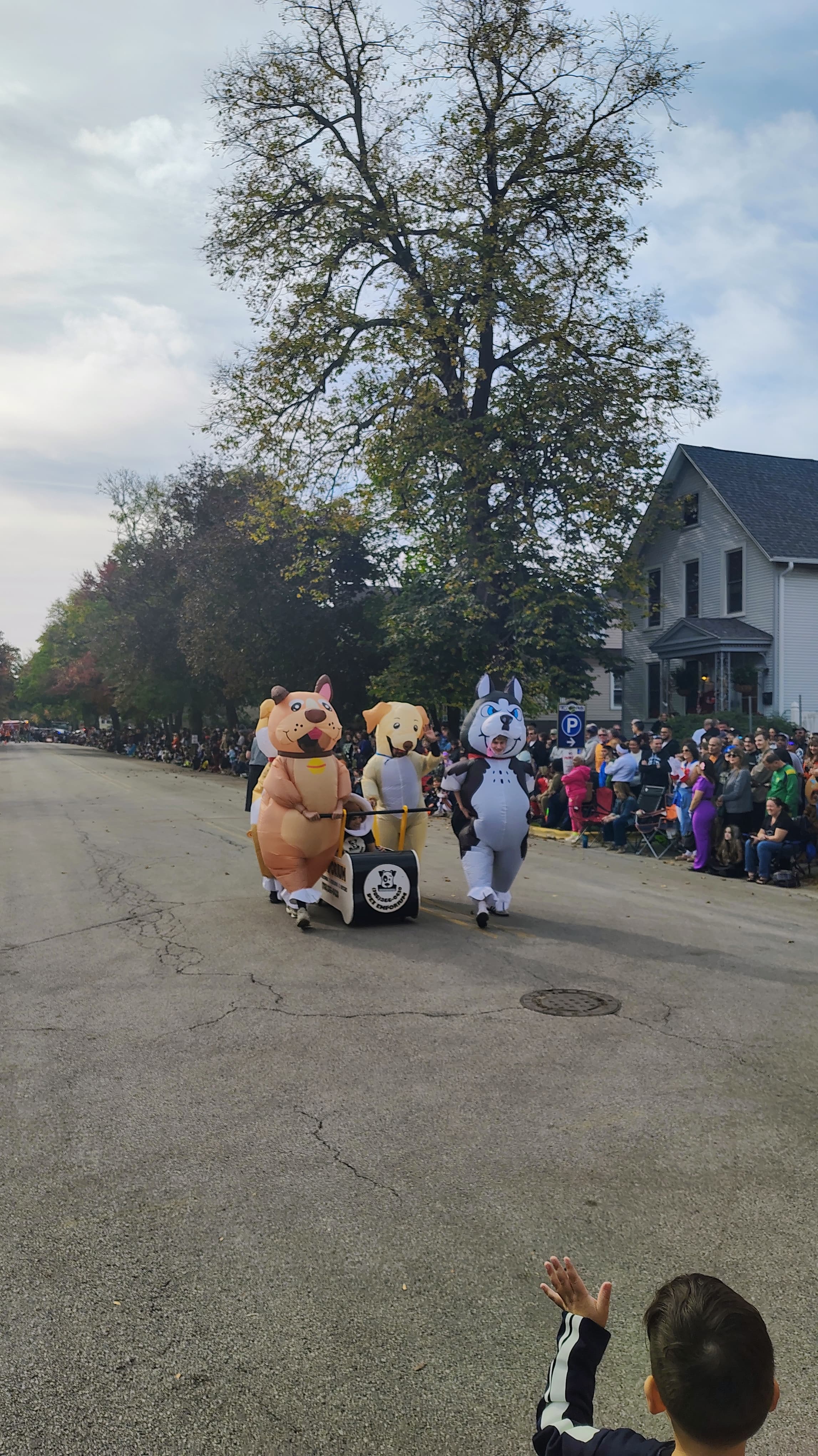 A team in giant inflatable dog costumes — a husky, a golden retriever, and a tan pup — pushing a black casket