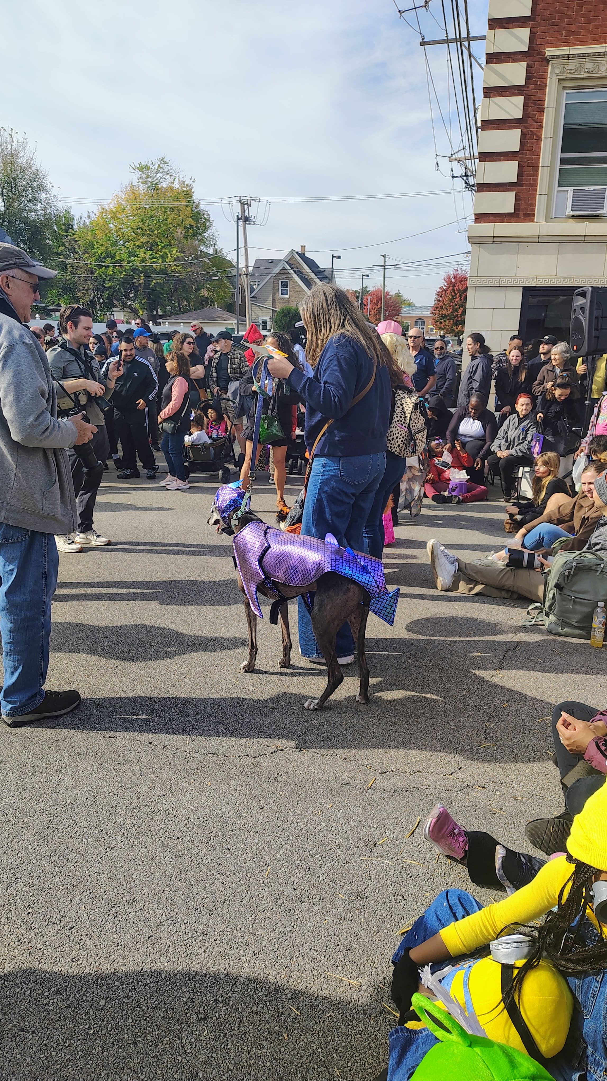 A greyhound dressed in an iridescent purple dragon costume standing in the street, with a photographer holding a large camera in the foreground